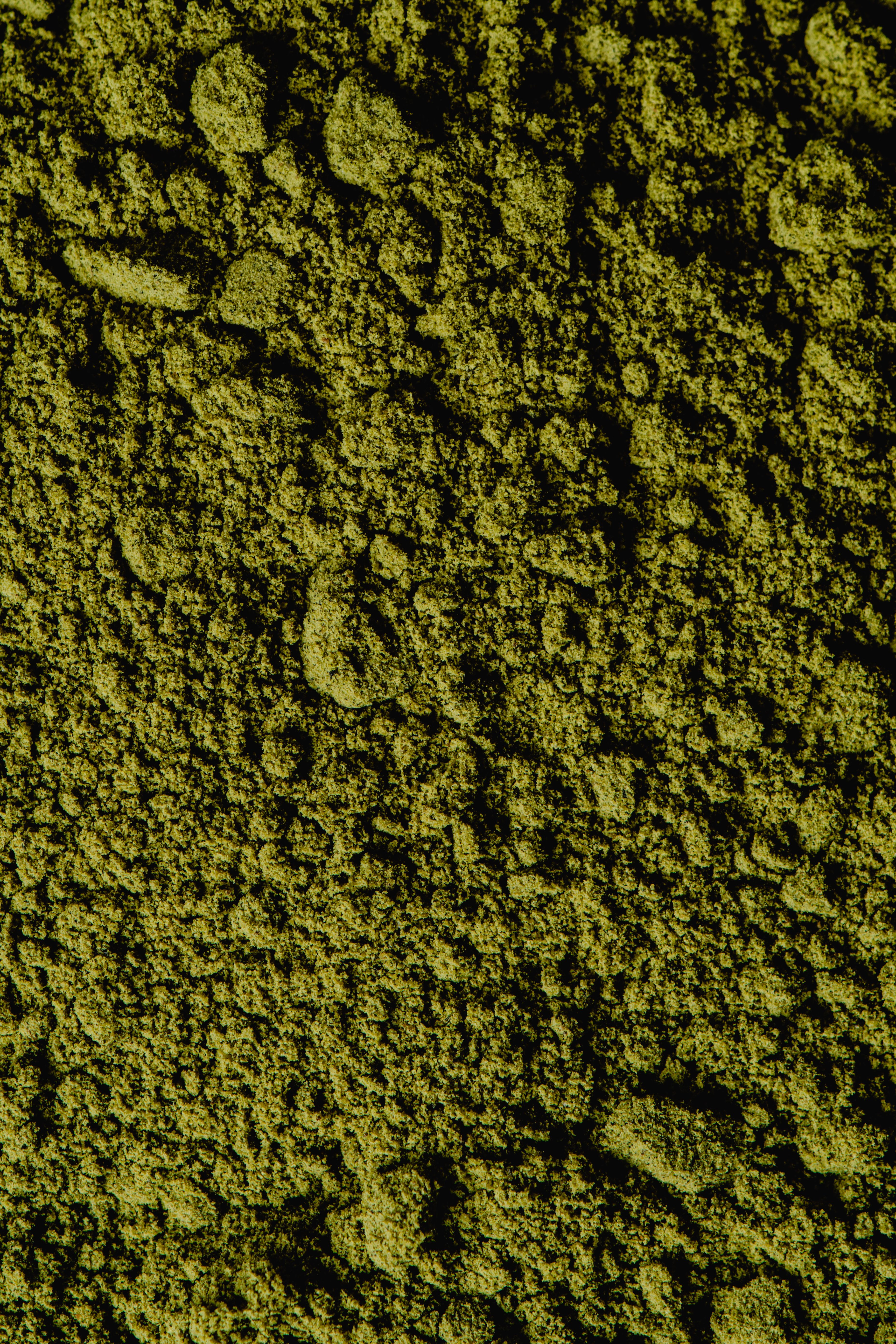 Cardamom Powder